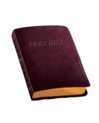 Burgundy Cover CCE Personalized Catholic Bible - NABRE